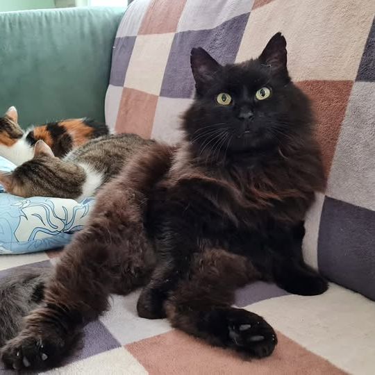 183340869_2886373404966707_8629213008294365077_n