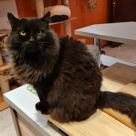 490313317_3953200724950631_1631629869894897512_n