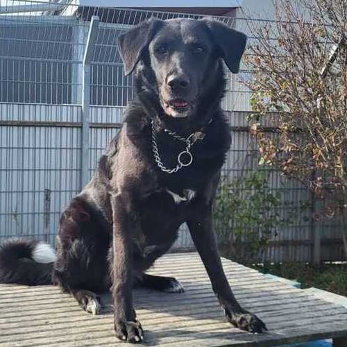 YUKI-20251022-WA0010 (1)