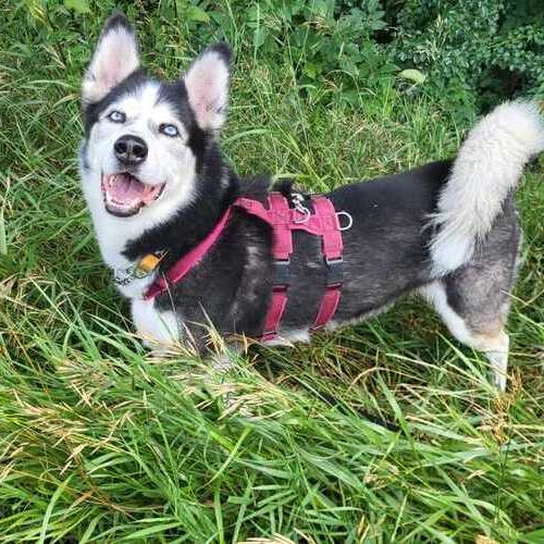 GHOST_IMG-20250722-WA0001 (1)