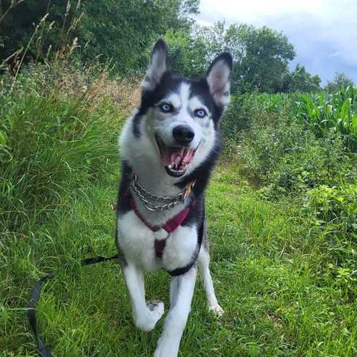 GHOST_IMG-20250722-WA0002 (1)