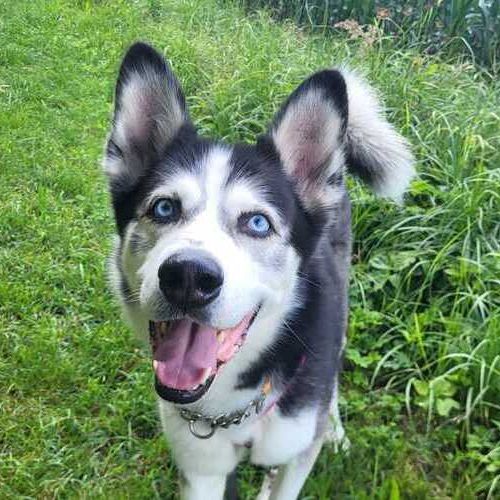 GHOST_IMG-20250722-WA0003 (1)