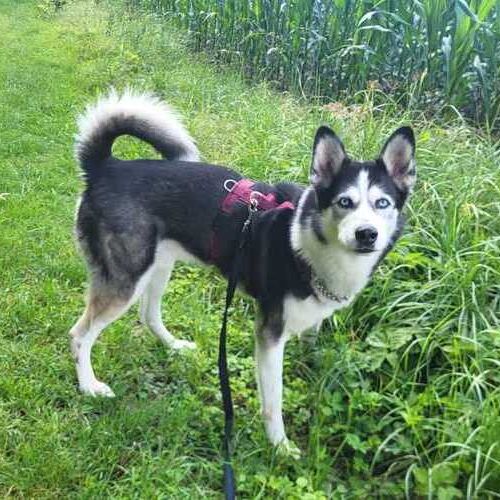 GHOST_IMG-20250722-WA0004 (1)