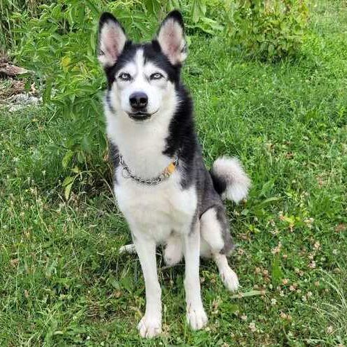 GHOST_IMG-20250722-WA0006 (1)