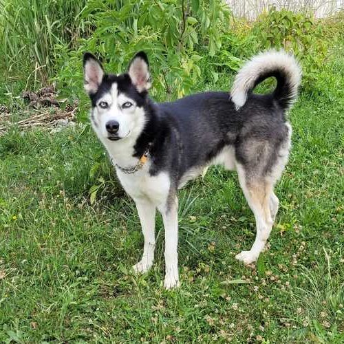 GHOST_IMG-20250722-WA0007 (1)