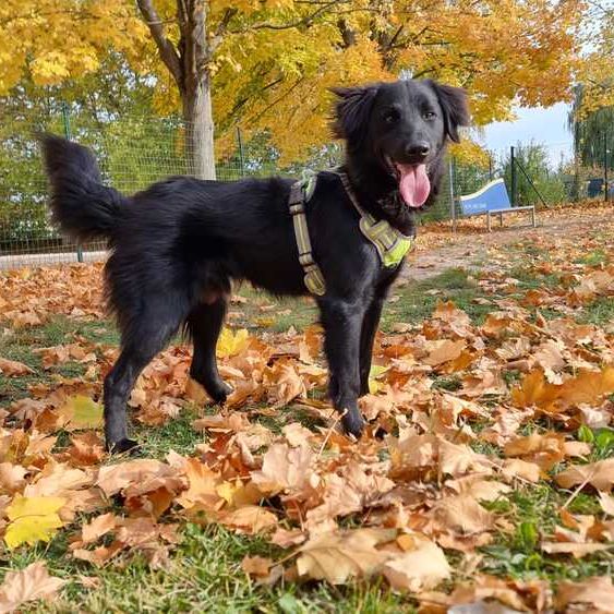 Rocky_2025-10-27 um 12.15.29_f6f36d47 Rocky_2025-10-27 um 12.15.29_f6f36d47