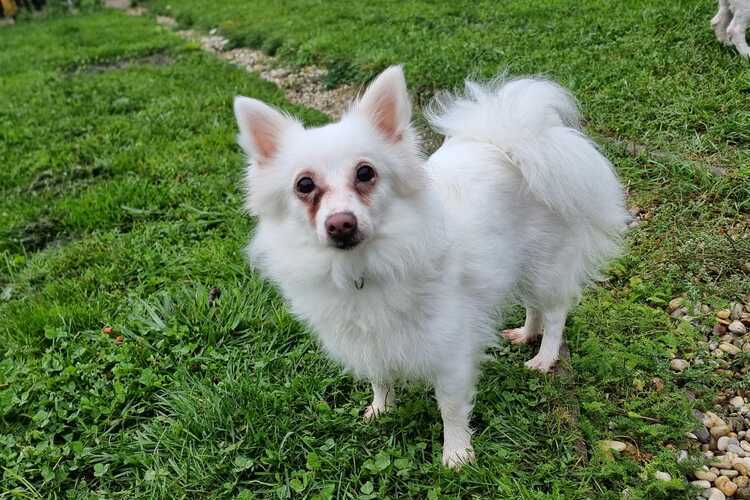 Bella