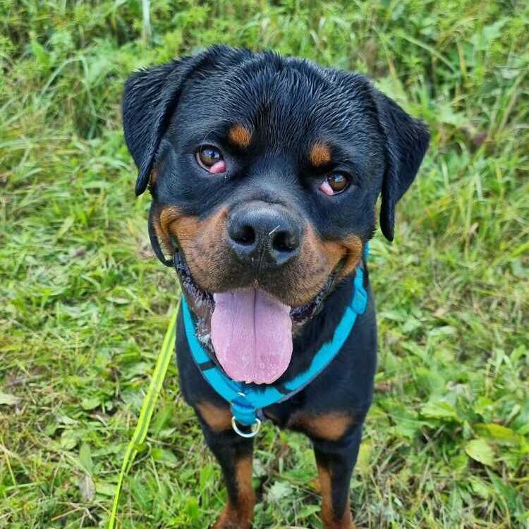 Bandit_2025-10-27 um 12.20.52_3fea5ea1 (1)