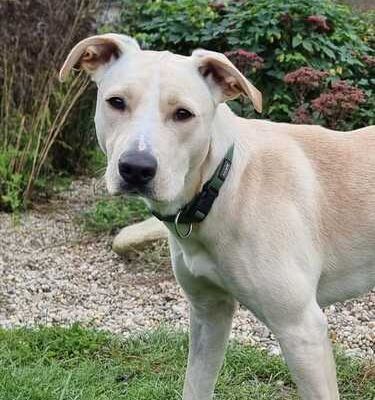 Malenia-20251003-WA0006 (1a)