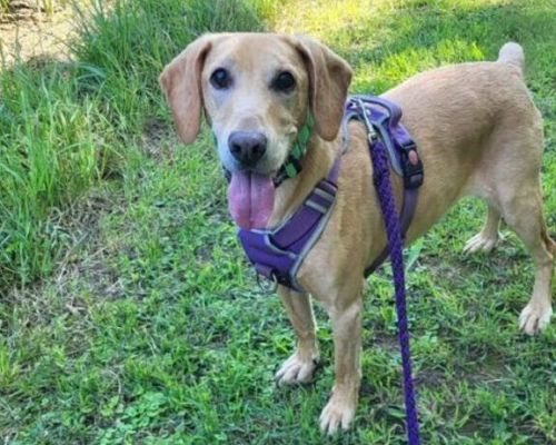 Rio_hp2 (2) (1) Rio_hp2 (2) (1)