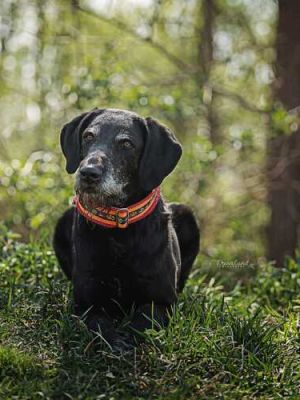 Sam 2026-04-27 at 16.09.19