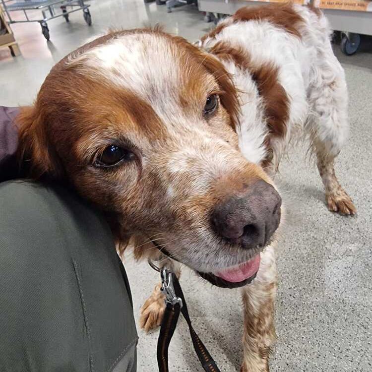 Yoda_2025-10-27 um 12.16.50_6cdb1705 Yoda_2025-10-27 um 12.16.50_6cdb1705