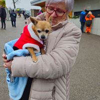 IMG-20251214-WA0094 IMG-20251214-WA0094