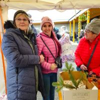 IMG-20251214-WA0158 IMG-20251214-WA0158