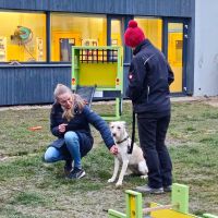 IMG-20251214-WA0175 IMG-20251214-WA0175