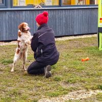 IMG-20251214-WA0187 IMG-20251214-WA0187