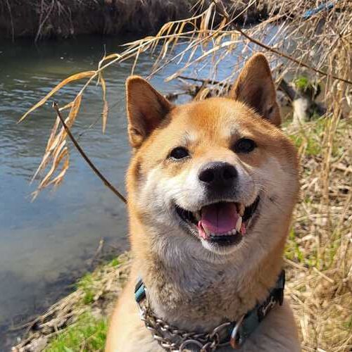 Teddy-20260324-WA0041