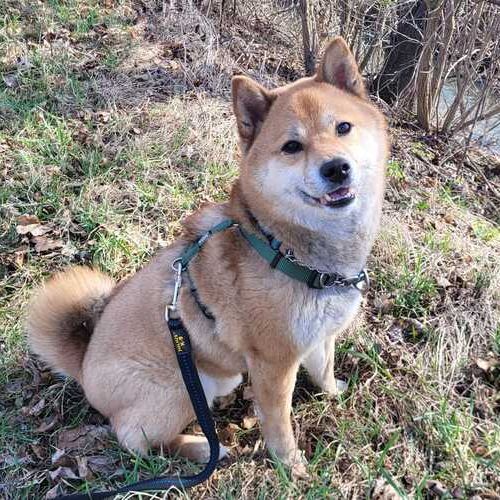 Teddy-20260324-WA0042