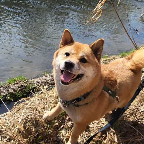 Teddy-IMG-20260324-WA0040