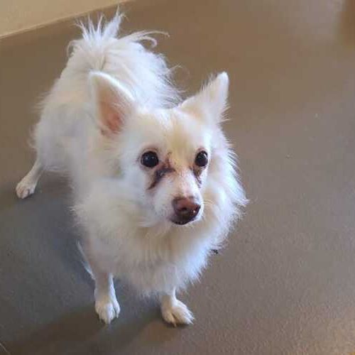 Bella-20260225-WA0009 (1)