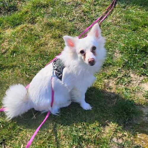 Bella2-20260324-WA0008