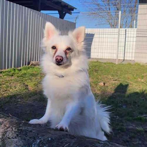 Bella2-20260324-WA0009