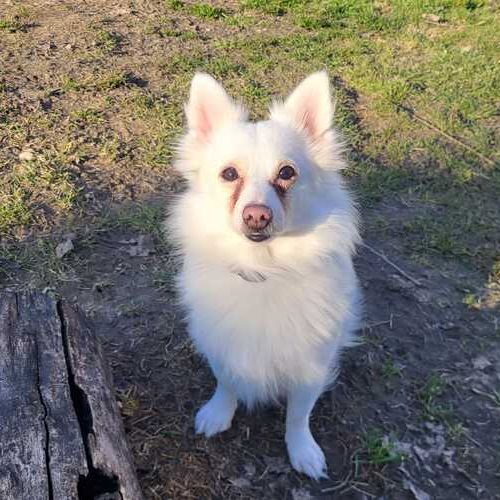 Bella_2026-03-26 at 11.29.16