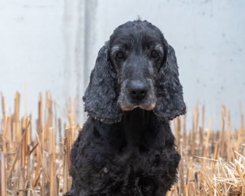 Lady-20260324-WA0017 (1)