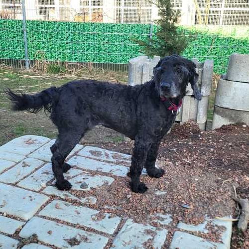 Lady-20260324-WA0018