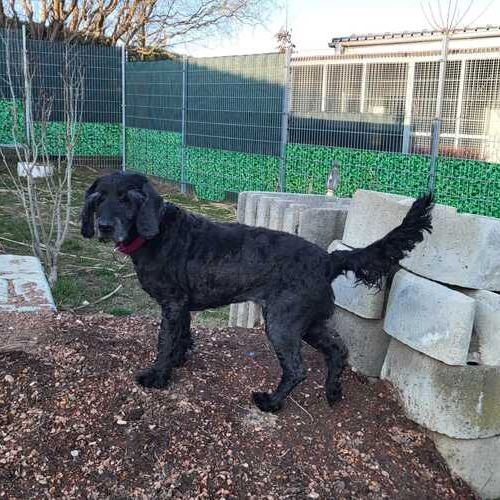 Lady-20260324-WA0019