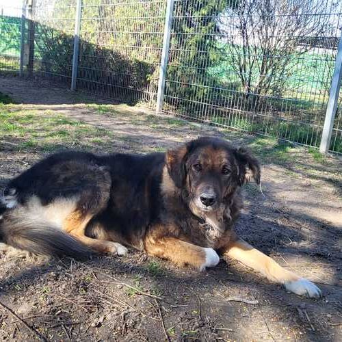 Benno-20260324-WA0012