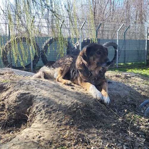 Benno-20260324-WA0013