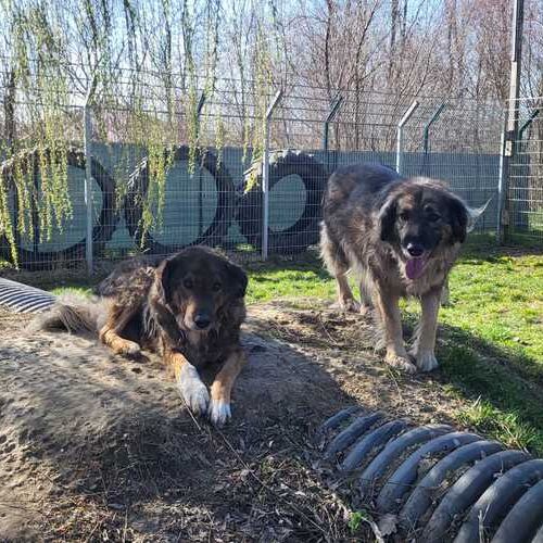 Benno_Tessa-20260324-WA0011