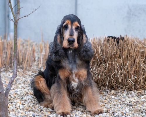 Lord-20260324-WA0020