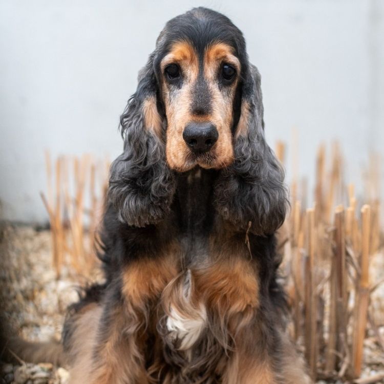 Lord-20260324-WA0021