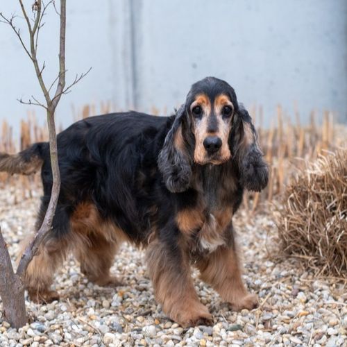 Lord-20260324-WA0022