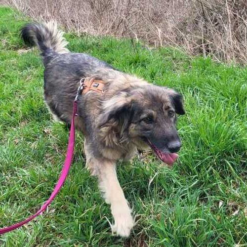 Tessa-20260322-WA0011 (1)