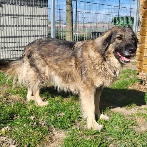 Tessa-20260324-WA0014