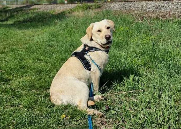 Amy 2026-04-20 at 15.38.39_1 (1)