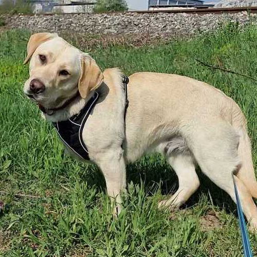 Amy 2026-04-20 at 15.39.03 (1)