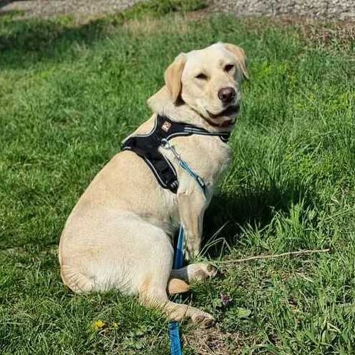 Amy 2026-04-20 at 15.39.04 (1)