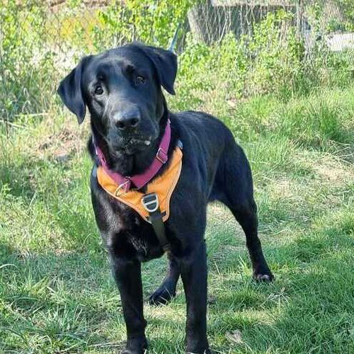 Henry 2026-04-20 at 15.40.12_1 (1)