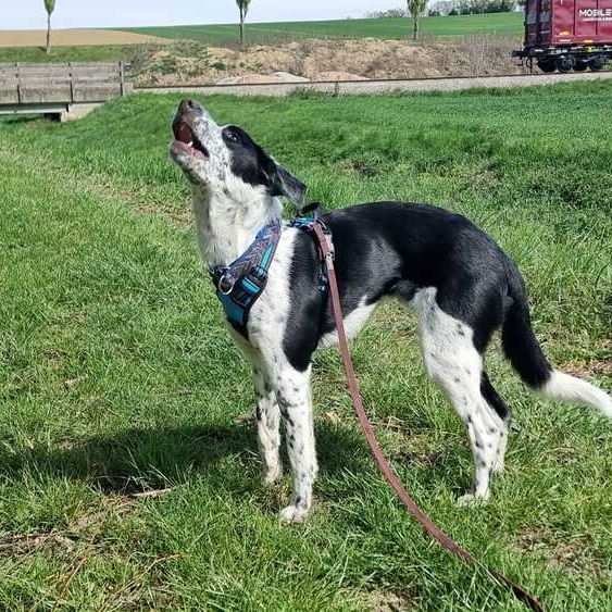 Luke 2026-04-20 at 10.32.49