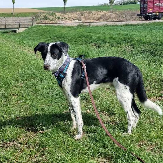 Luke 2026-04-20 at 10.33.00