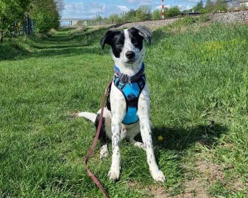 Luke 2026-04-20 at 15.14.19 (1)