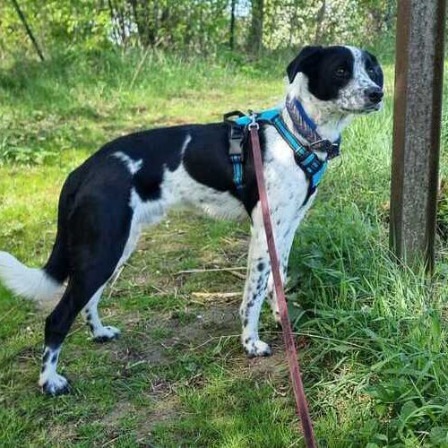 Luke 2026-04-20 at 15.14.40 (1)