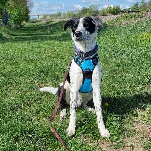 Luke 2026-04-20 at 15.14.41_1 (1)