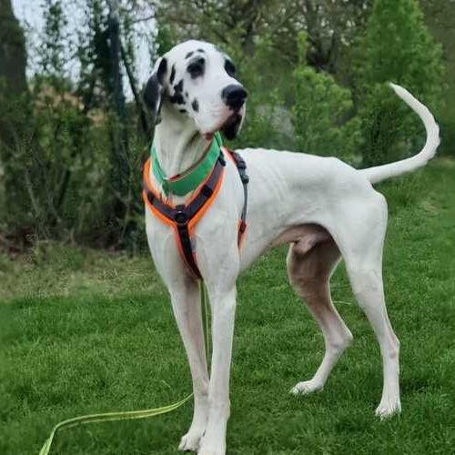 Pauli 2026-04-21 at 09.57.22_1 (1)