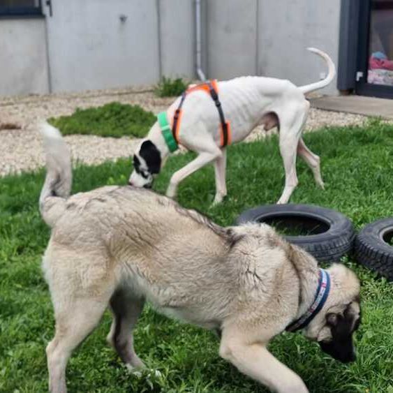 Pauli 2026-04-21 at 09.57.23