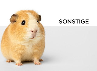 HP-BG_Kategorie_Sonstige_320x235-Meerschweinchen